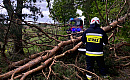 Połamane drzewa i zalane posesje. Ponad 250 interwencji strażaków